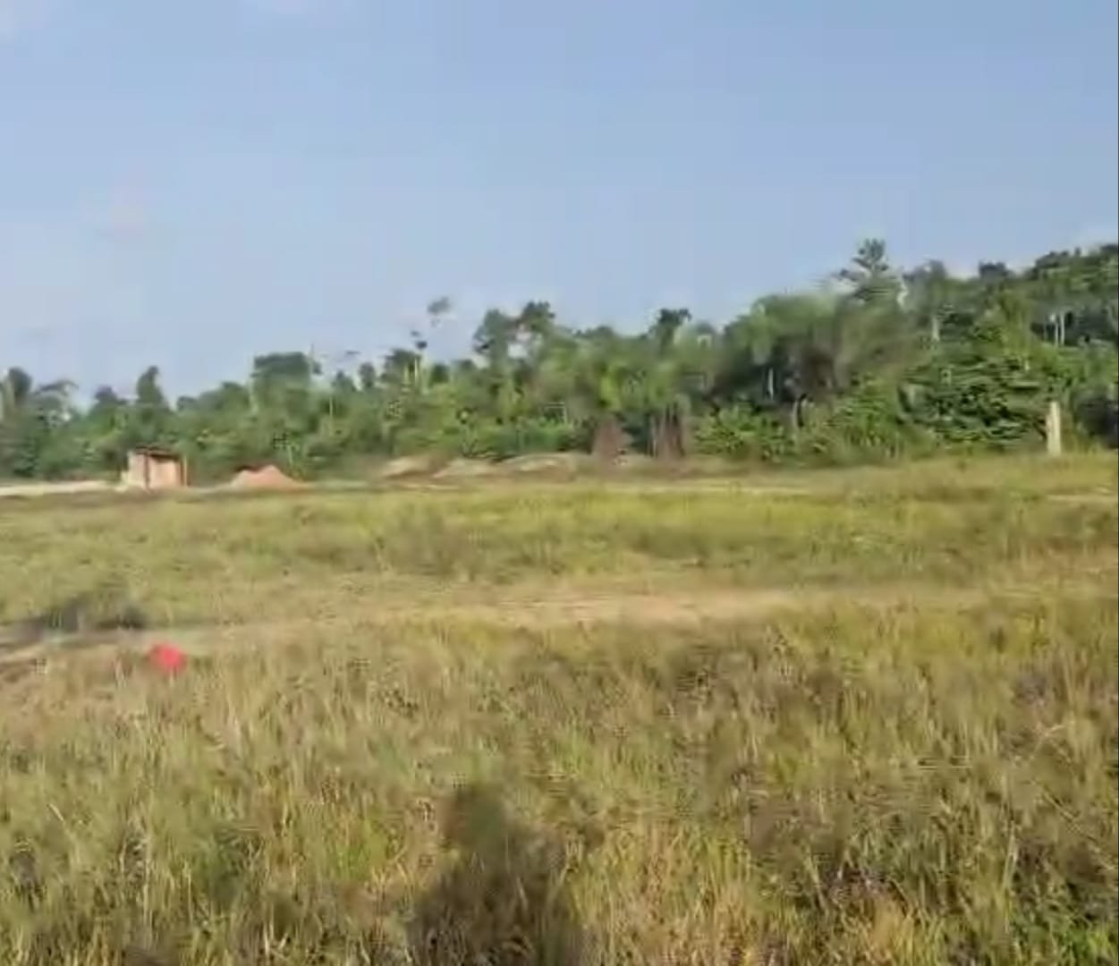 Miniature