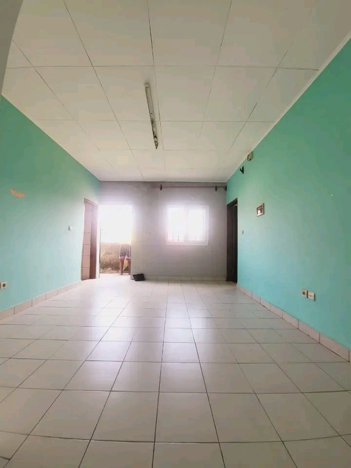 Miniature